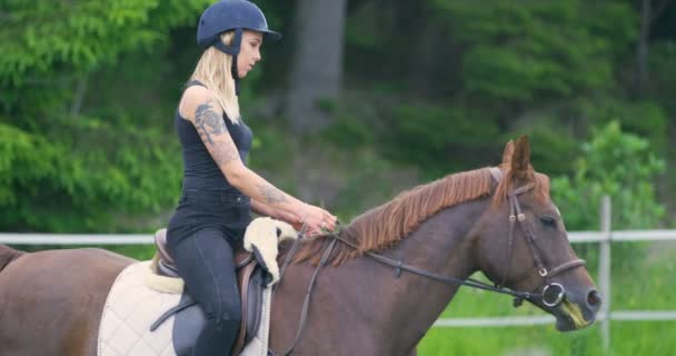 Mulher bonita montando seu cavalo árabe na fazenda — Vídeo de Stock