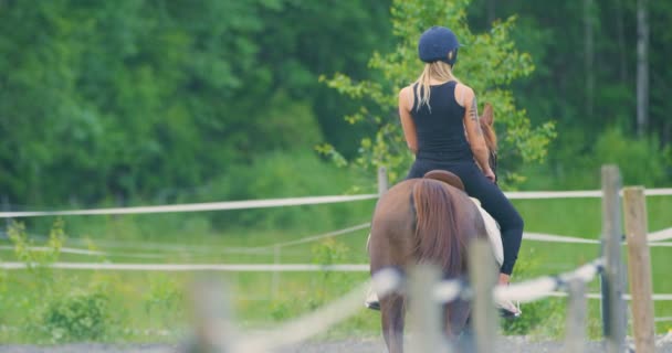 Hermosa joven montando su caballo árabe en la granja — Vídeos de Stock