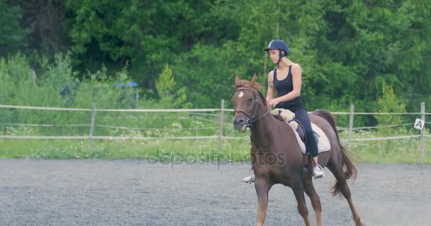 Souriante jeune femme chevauchant son cheval arabe en cours d'exécution — Video