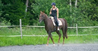 Genç kadın onun Arap atı çiftliğinde binicilik