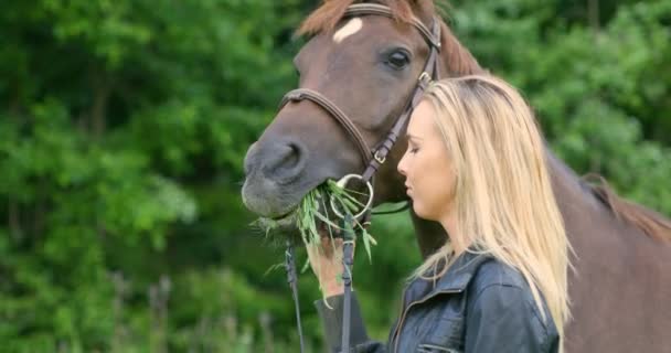 Sorrindo mulher acariciando e alimentando seu cavalo árabe no campo — Vídeo de Stock