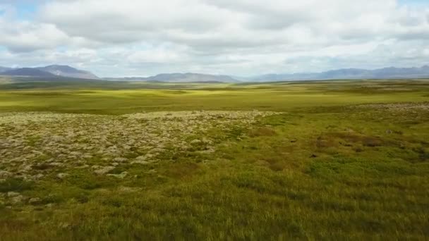 Volando sobre el exuberante paisaje de verano en Islandia — Vídeos de Stock