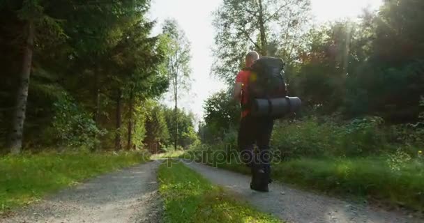 Aktiv man med stor ryggsäck vandring i vacker skog vid solnedgången — Stockvideo