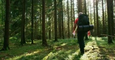 Şafakta harita güzel orman ile yürüme aktif erkek uzun yürüyüşe çıkan kimse