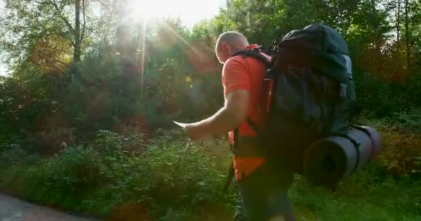 活発な男性を使用してハイキング マップし、夕日美しい森のコンパス — ストック動画