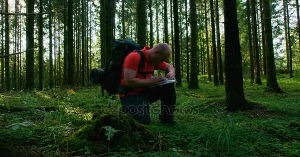 Homem ativo caminhante navega usando mapa e bússola na bela floresta ao pôr do sol — Vídeo de Stock