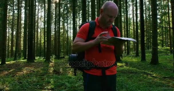 Aktivwanderer navigieren mit Karte und Kompass im wunderschönen Wald bei Sonnenuntergang — Stockvideo