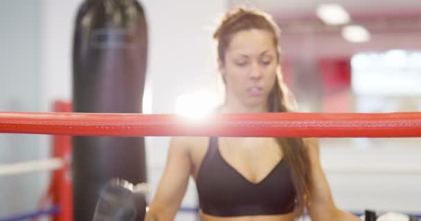 Passar kvinnliga boxare vilar med armarna på ringen repen — Stockvideo