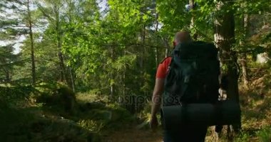 Gün batımında güzel orman manzarada yürümeye büyük sırt çantası ile etkin adam