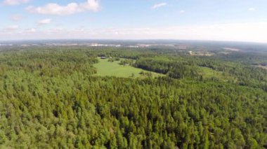 Çam ormanları ve çiftlik üzerinde uçan yüksek