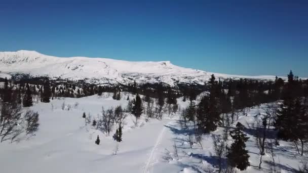 Långsamt flyger över träd och stort berg vinterlandskap — Stockvideo