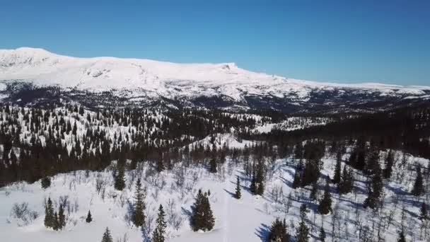 Lentamente sorvolando alberi e grandi montagne paesaggio invernale — Video Stock