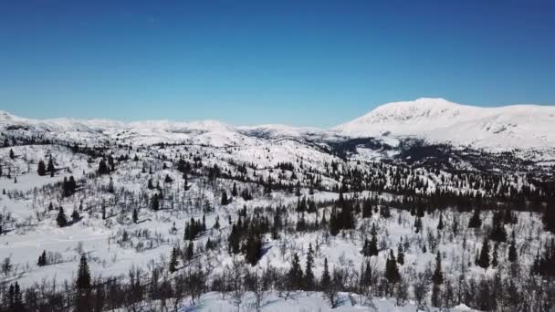 Voler dans un grand paysage hivernal de montagne — Video