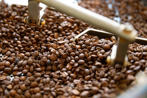 Primer plano de granos de café crudos en máquina de tostado — Foto de Stock