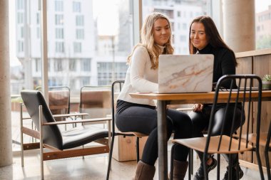 Restorandaki dizüstü bilgisayarda araştırma yapan serbest çalışan kadın.