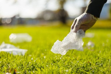 Güneşli bir günde insan parkının düşük kesimi