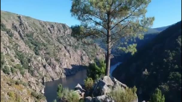 位于西班牙北部卢戈省的锡尔河峡谷的全景 在这个崎岖的地方 你只能在蓝天和大自然之间呼吸宁静 — 图库视频影像