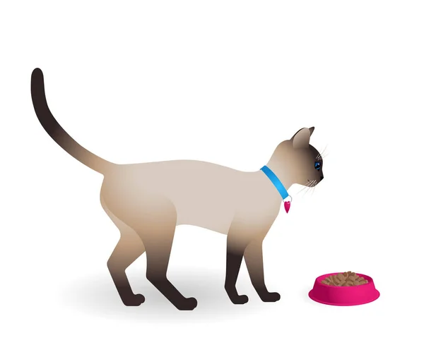 Кота, идущего в миску с едой — стоковый вектор