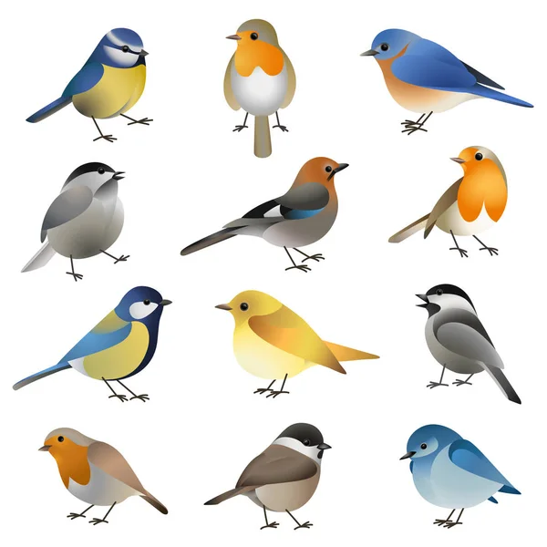 Ensemble vectoriel d'oiseaux sauvages colorés — Image vectorielle