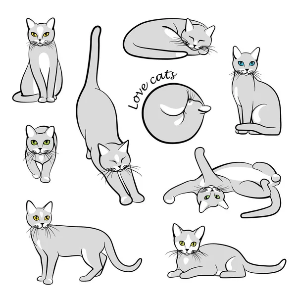 Vectorillustratie van katten — Stockvector