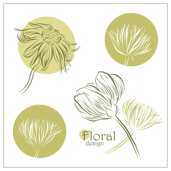 Conjunto de flores vectoriales — Vector de stock