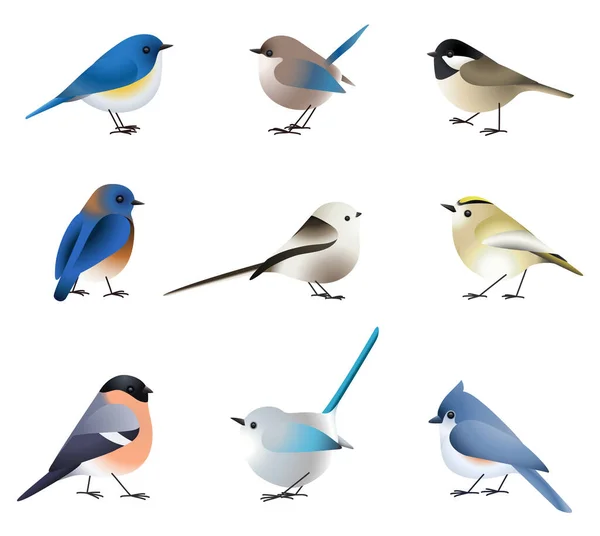 Büyük Vektör Kümesi Farklı Renkte Izole Kuşlar — Stok Vektör