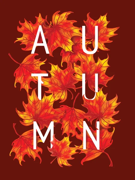 Jesienny wzór liści — Zdjęcie stockowe