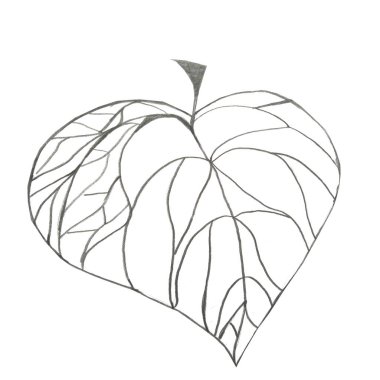 Kalp broşürü, greyfurt kalemle çizilmiş çizim el.