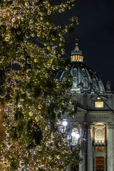 Róma Olaszország 2019 December Piazza San Pietro Betlehem Trentino Fájával — Stock Fotó