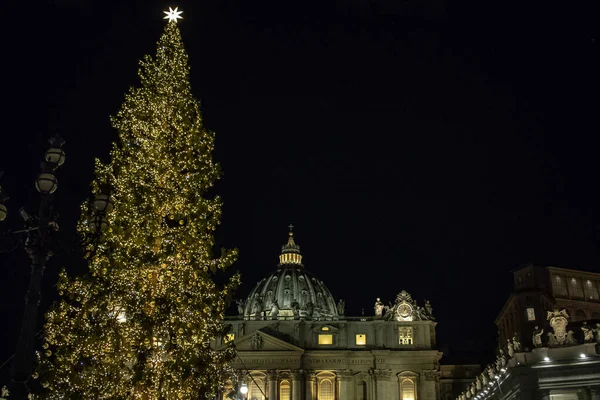 Róma Olaszország 2019 December Piazza San Pietro Betlehem Trentino Fájával — Stock Fotó