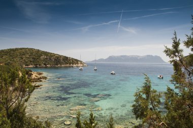 İtalya Sardinya cala moresca defne aranci Körfezi'nde