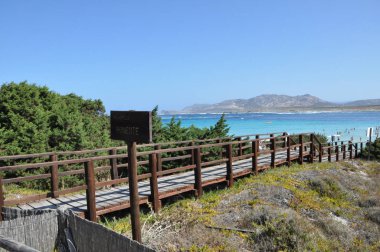 Bulutlu bir günde Sardunya kumsalda La Pelosa