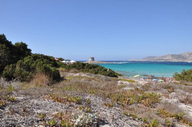 Bulutlu bir günde Sardunya kumsalda La Pelosa