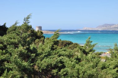 Bulutlu bir günde Sardunya kumsalda La Pelosa