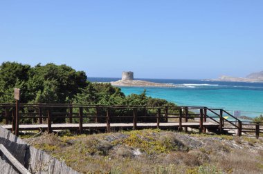 Bulutlu bir günde Sardunya kumsalda La Pelosa