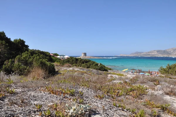 Bulutlu bir günde Sardunya kumsalda La Pelosa