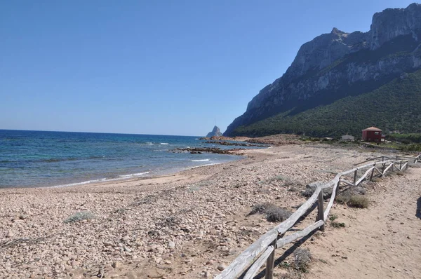  Tavolara Adası Sardunya İtalya'nın en önemli Adaları biridir