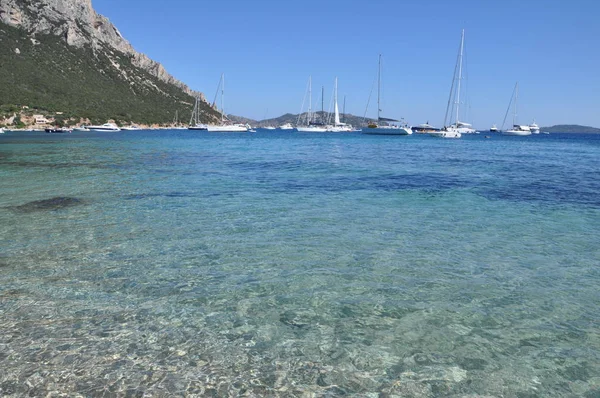 Tavolara Insel diese Insel ist eine der wichtigsten Inseln Sardiniens — Stockfoto