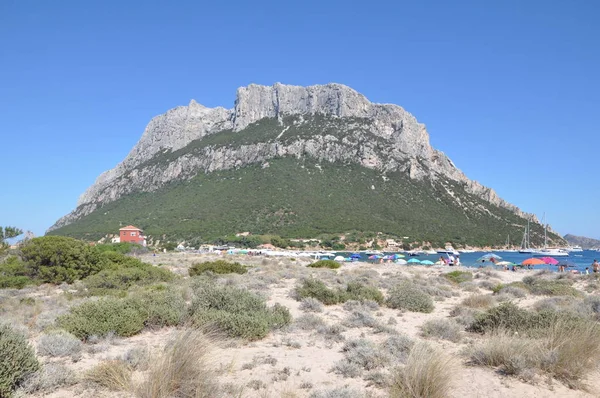 Tavolara Adası Sardunya İtalya'nın en önemli Adaları biridir