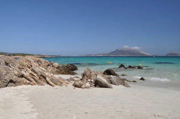 Landschaft Figaroli Insel in Sardinen im Sommer in Italien — Stockfoto