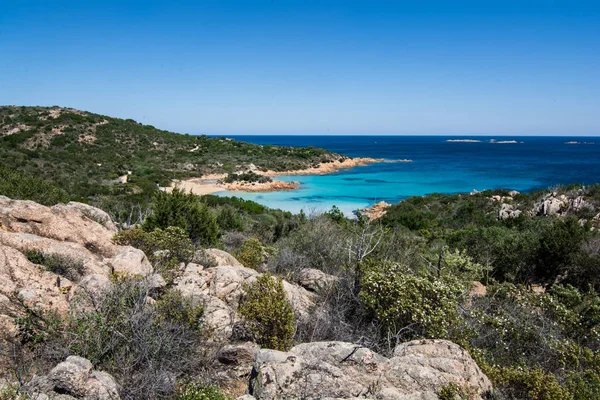 Italy sardinia landscape prince bay in summer — Stock Photo, Image