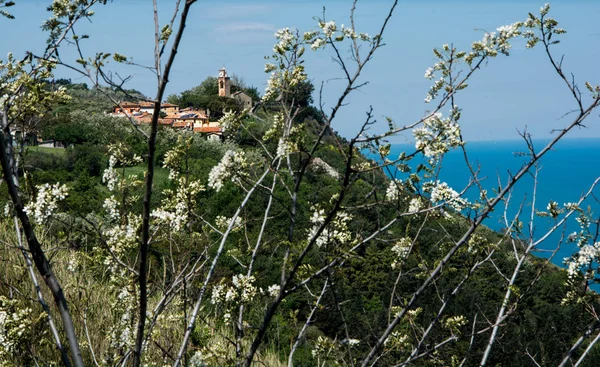 Село Фиоренцуола ди Фокара на заднем плане — стоковое фото