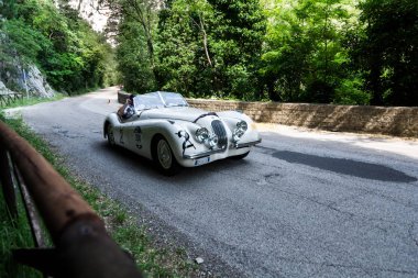 Jaguar Xk 120 Ots Roadster 1950