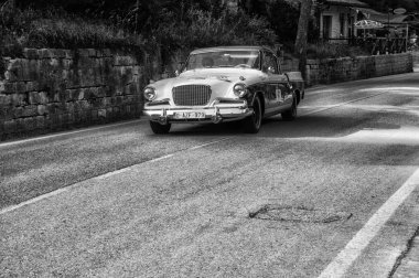 Studebaker altın 1956 Şahin