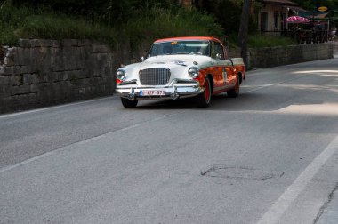 Studebaker altın 1956 Şahin