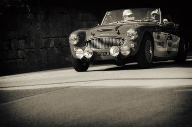 Austin Healey 100/6 1957