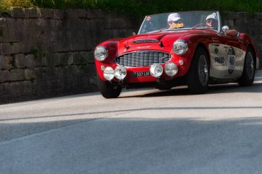 Austin Healey 100/6 1957