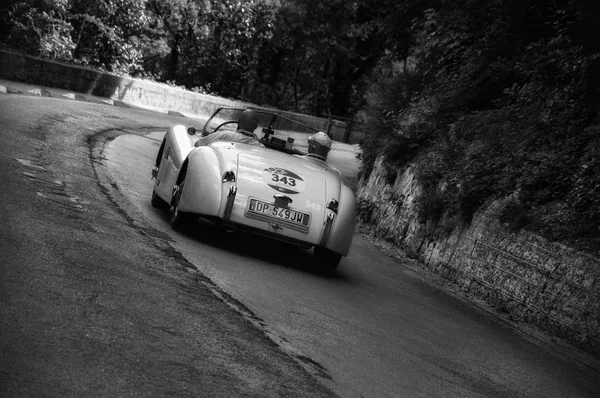 Jaguar Xk 120 Roadster Ots 1954 — Stock fotografie