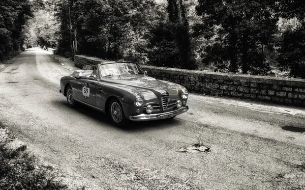 ALFA ROMEO 1900 C SPRINT CABRIOLET 1953 — Stockfoto