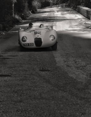 Jaguar C tipi 1952